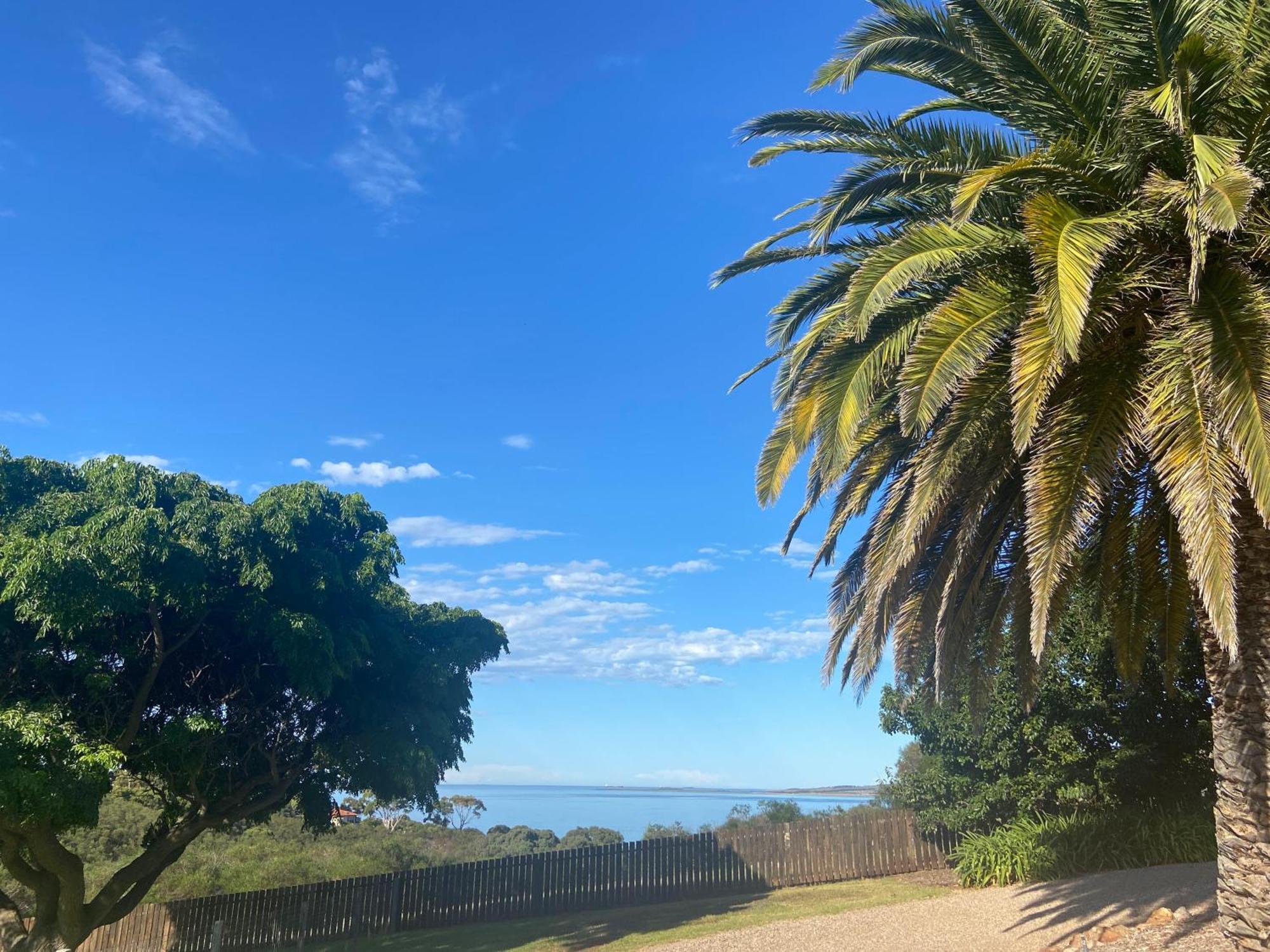 ポートリンカーンS T U D I O 22 Peaceful Retreat With Garden Viewsアパートメント エクステリア 写真